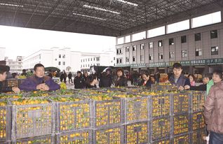 上饒農產品交易城 打造集交易、展覽、展示于一體的綜合性國際農副產品與鞋帽批發新樞紐